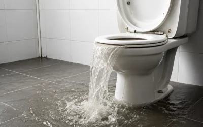 WC bouché à Lyon : quels réflexes adopter rapidement ?